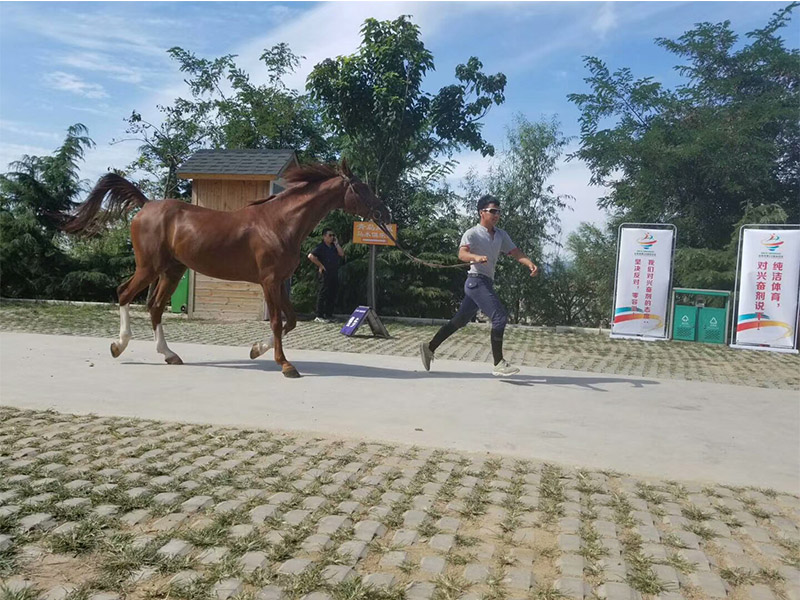 比赛6.jpg