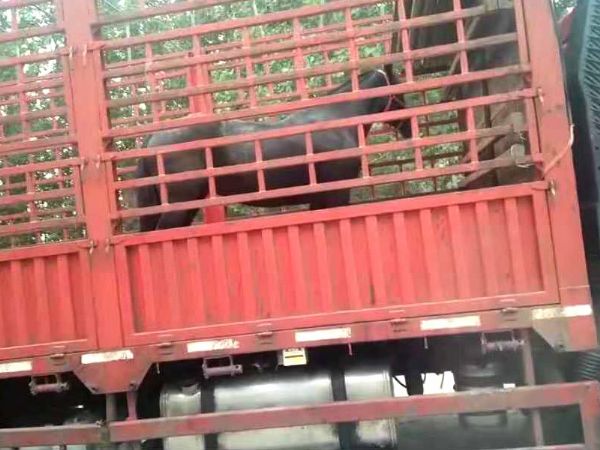 发货现场