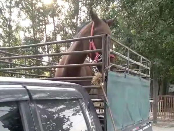 发货现场