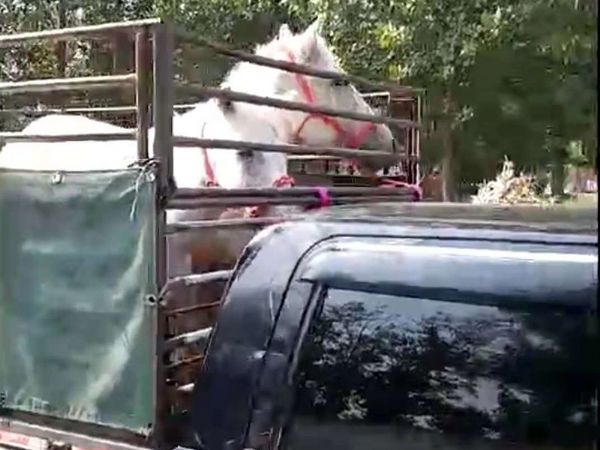 发货现场