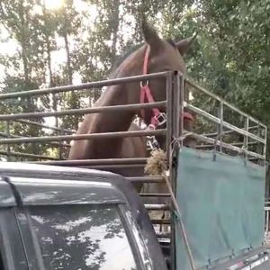 发货现场