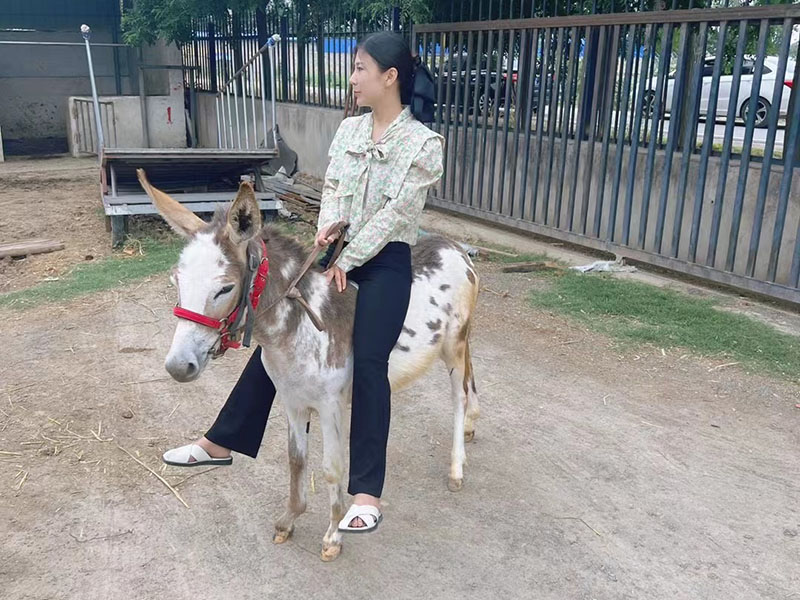 2018-10-12 17:17:49.jpg